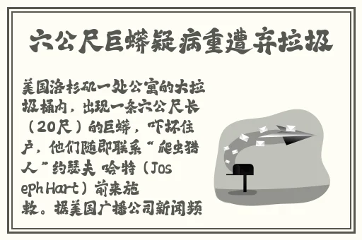 孟若羽tm00080大巴车